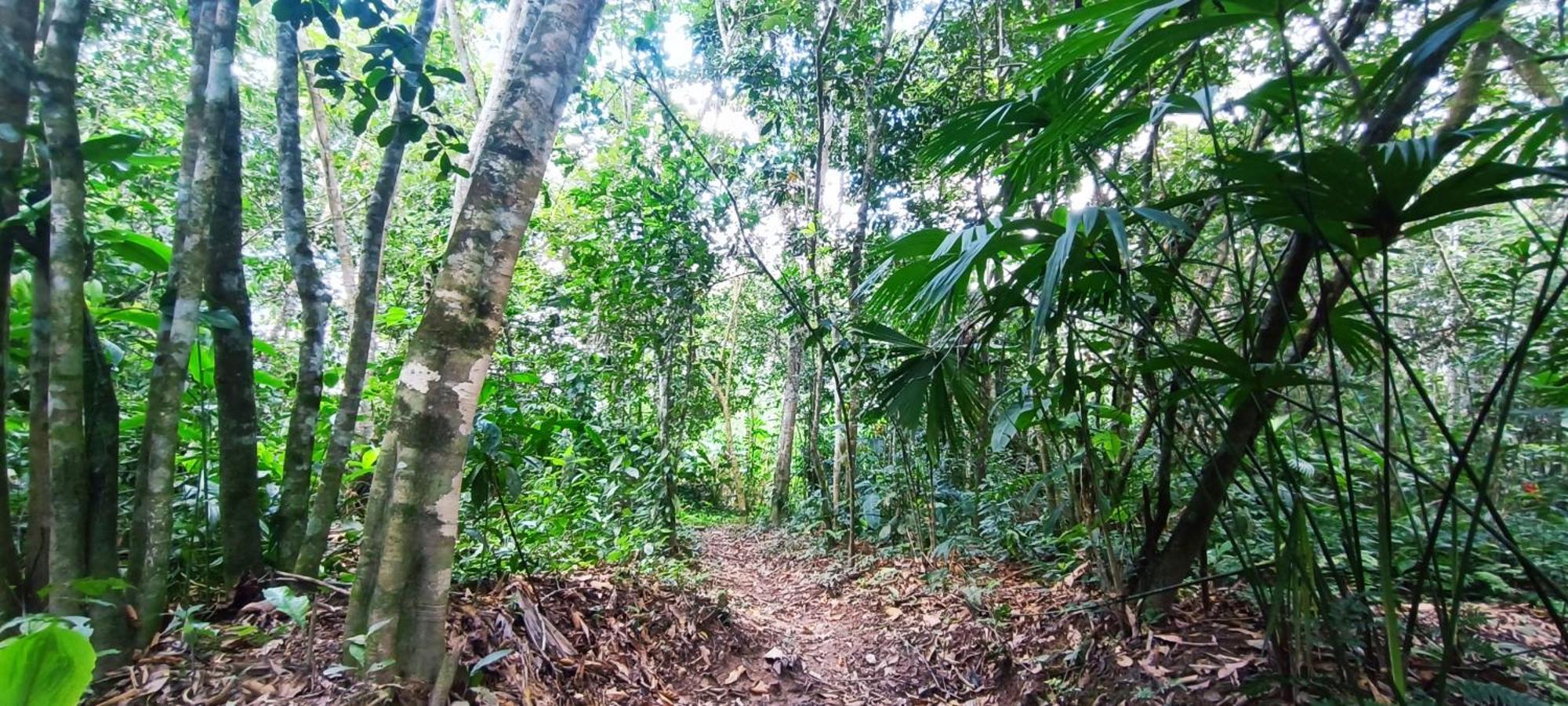 Hotel Ecologico Makalombia La Macarena Εξωτερικό φωτογραφία