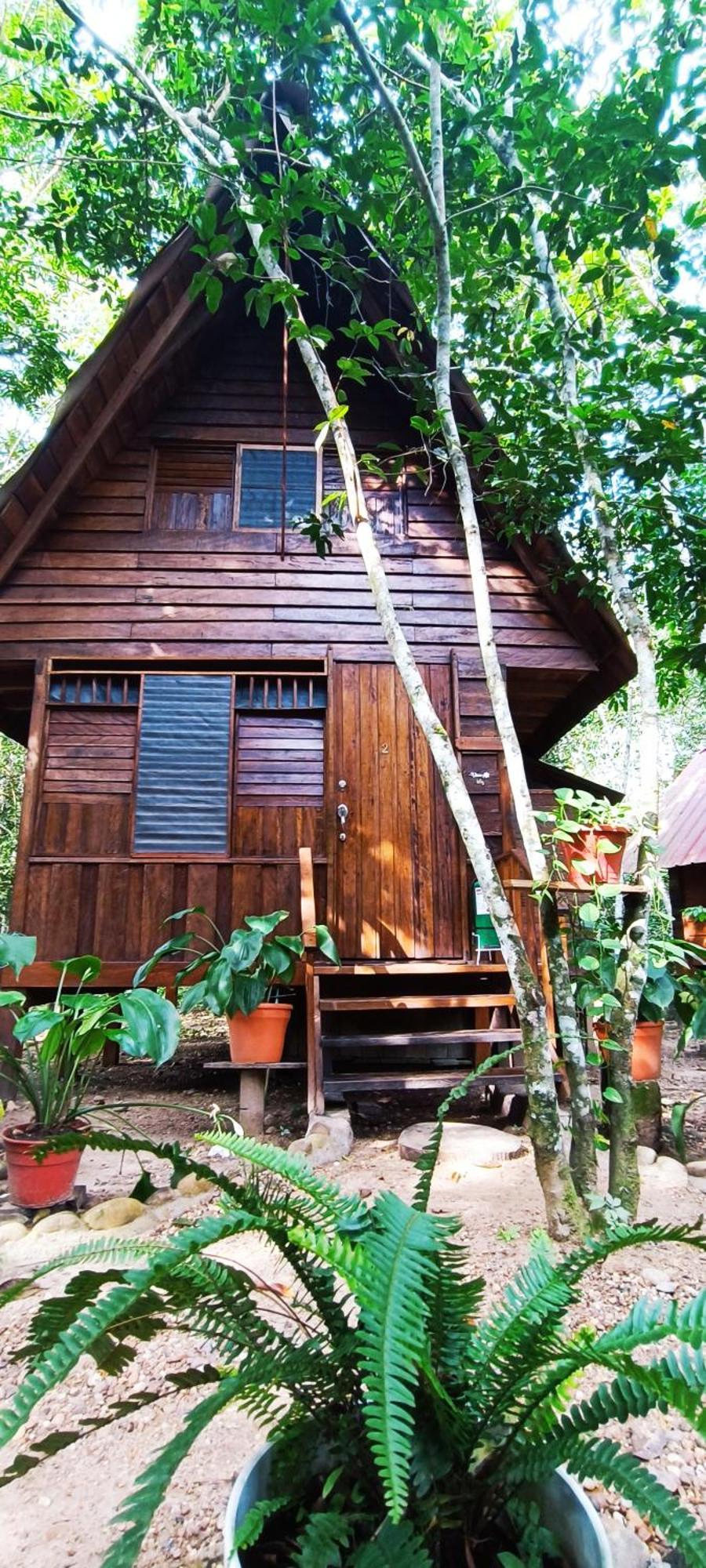 Hotel Ecologico Makalombia La Macarena Εξωτερικό φωτογραφία